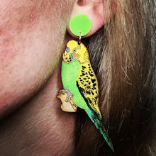 Load image into Gallery viewer, Green Budgie Stud Dangle Earrings