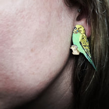 Load image into Gallery viewer, Green Budgie Stud Earrings