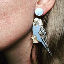 Load image into Gallery viewer, Blue Budgie Stud Dangle Earrings