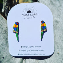 Load image into Gallery viewer, Rainbow Lorikeet Earrings