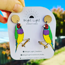 Load image into Gallery viewer, Gouldian Finch Stud Dangle Earrings