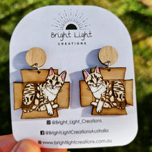 Load image into Gallery viewer, Cat in a Box Earrings