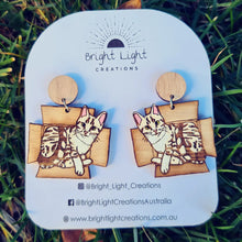 Load image into Gallery viewer, Cat in a Box Earrings