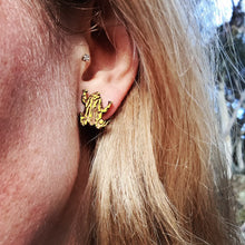 Load image into Gallery viewer, Southern Corroboree Frog Stud Earrings