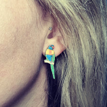 Load image into Gallery viewer, Rainbow Lorikeet Earrings
