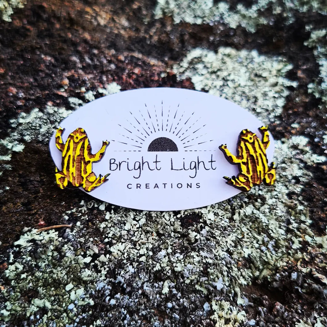 Southern Corroboree Frog Stud Earrings