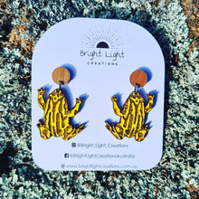 Load image into Gallery viewer, Southern Corroboree Frog Stud Dangle Earrings
